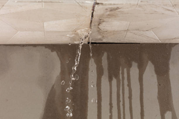 Professional Burst Pipe Cleanup technician working in Alamo, TN